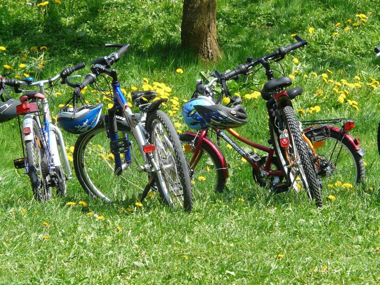 子供の記憶に残る 自転車 ランキング