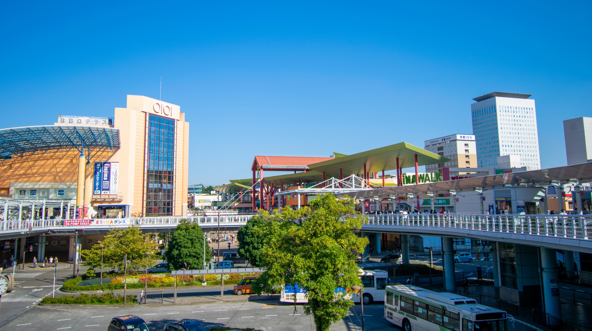 まず最初に|イオンはどんな種類がある?違いをざっくり整理