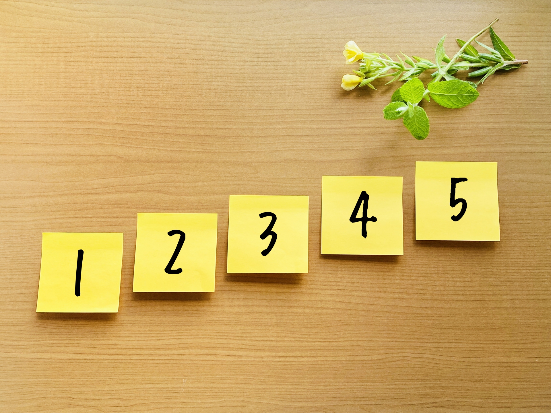 5段階で理解するroastの強度レベル