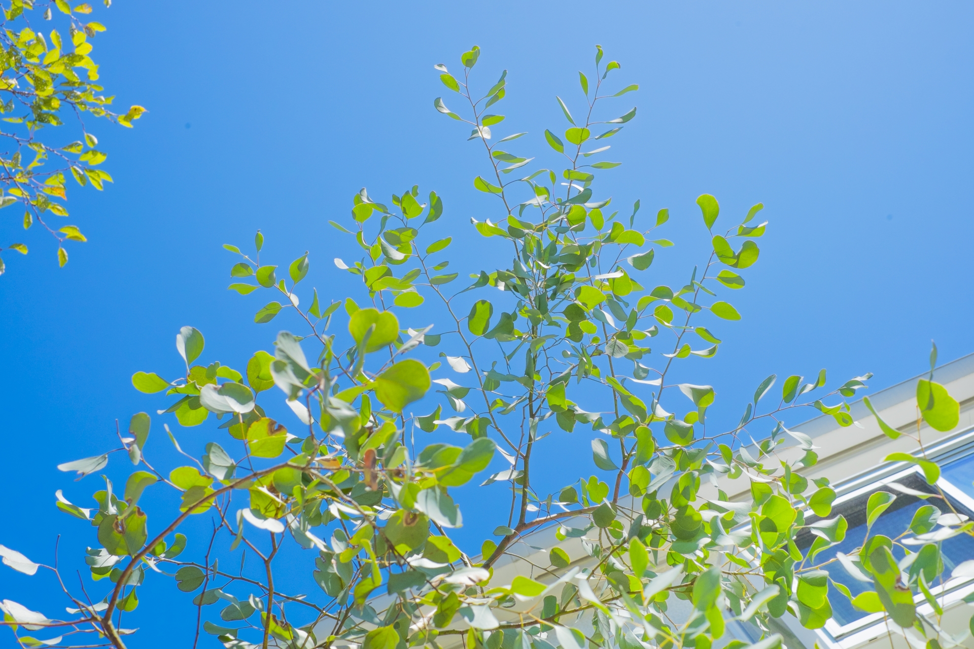 作る前に準備｜汚れ・印字・保管などの簡単な下処理